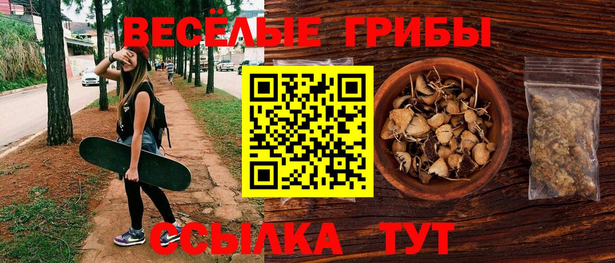 Псилоцибиновые грибы Psilocybe  Псилоцибиновые грибы Psilocybine cubensis  Вход с VPN  Йошкар-Ола 
