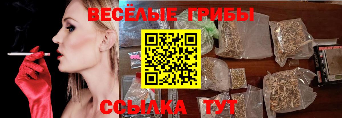 Псилоцибиновые грибы мицелий Йошкар-Ола